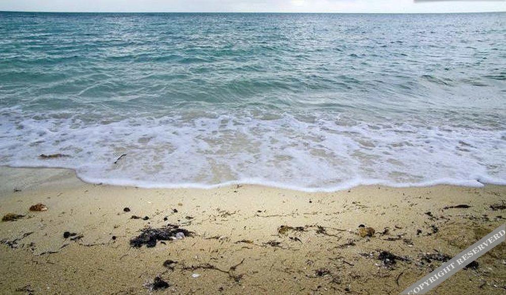 Taste Of Paradise Coral Harbour المظهر الخارجي الصورة